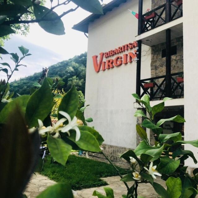Family Hotel Virgin ريباريكا المظهر الخارجي الصورة