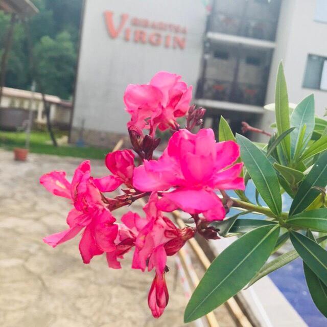 Family Hotel Virgin ريباريكا المظهر الخارجي الصورة