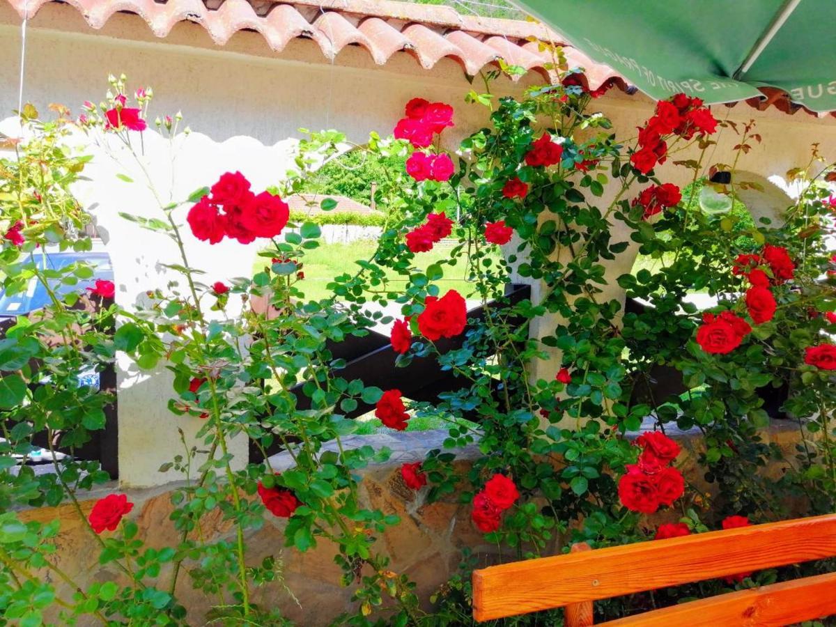 Family Hotel Virgin ريباريكا المظهر الخارجي الصورة