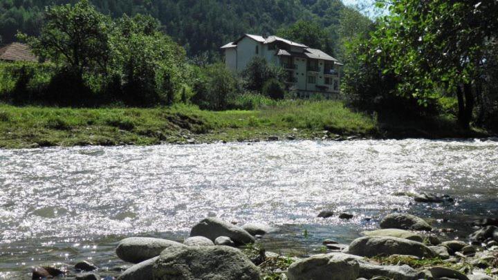 Family Hotel Virgin ريباريكا المظهر الخارجي الصورة